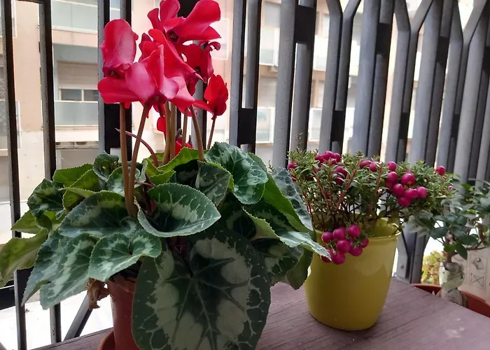 La Valigia Sul LettoAlbergo